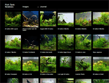 Tablet Screenshot of fishtanknewbies.com
